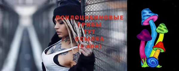 кокс Аркадак