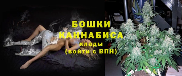 меф Арсеньев