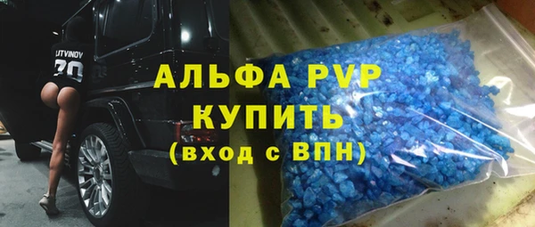 гашик Нея