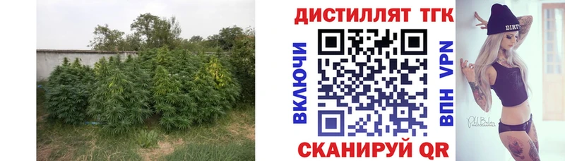 Дистиллят ТГК вейп с тгк  mega вход  Бутурлиновка 