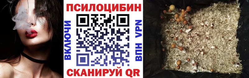 купить наркоту  Бутурлиновка  Галлюциногенные грибы Magic Shrooms 